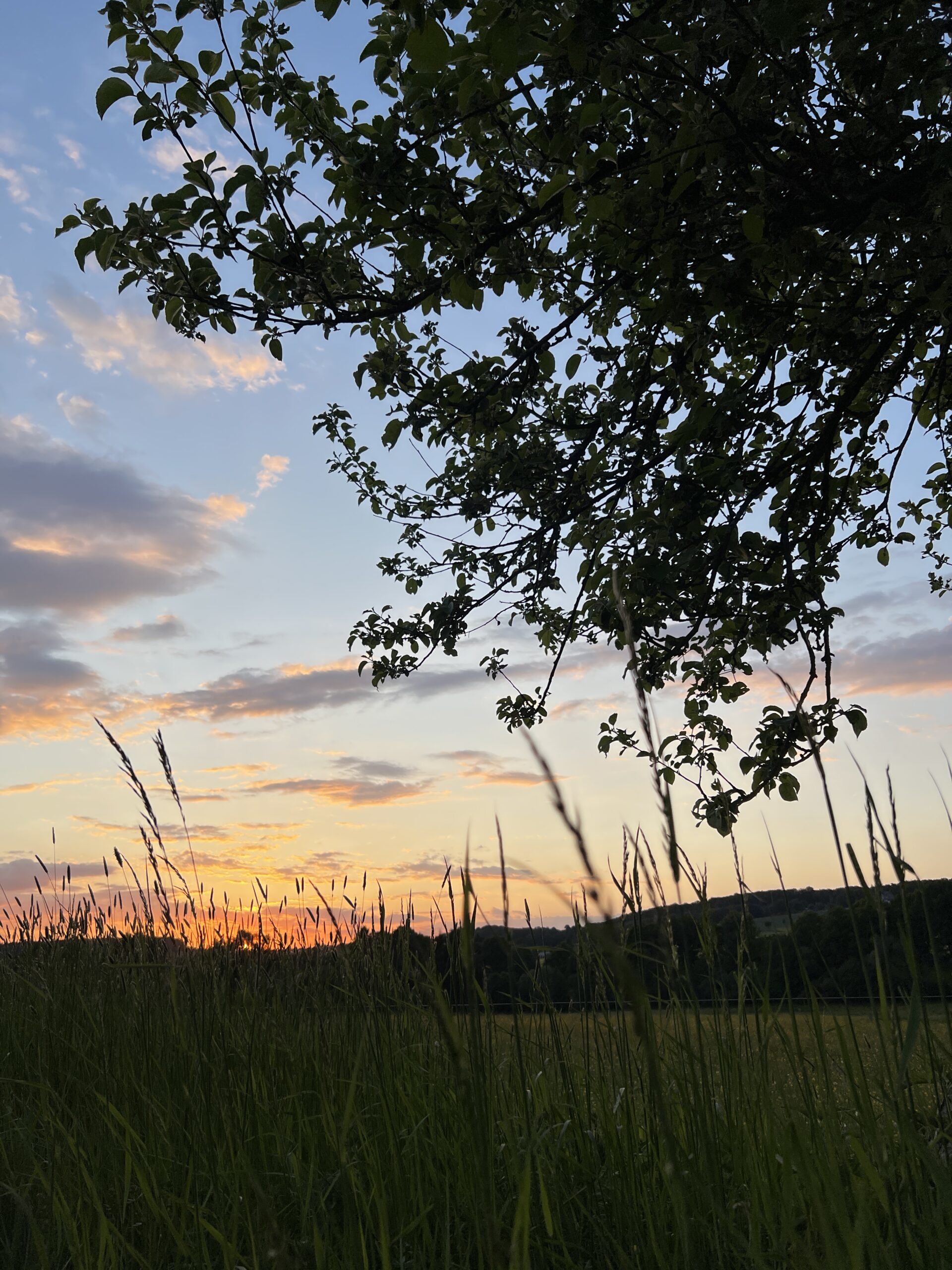 Zwischen Fülle und Sehnsucht – Warum ich wieder nach innen lausche