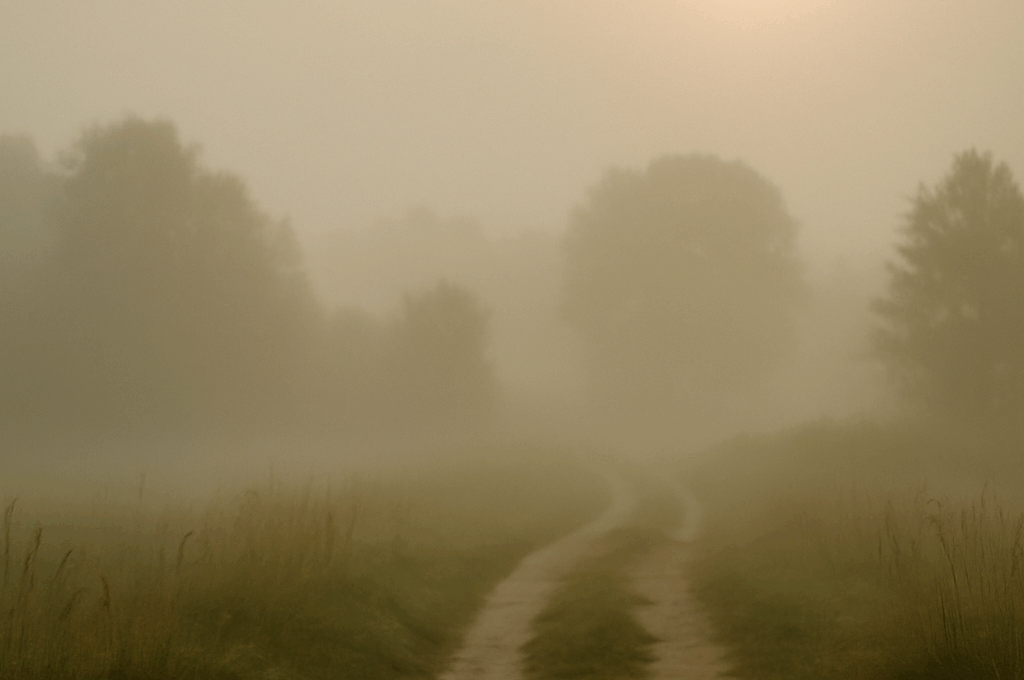 Vom Chaos zur Klarheit – Wie Achtsamkeit mein Leben verändert hat