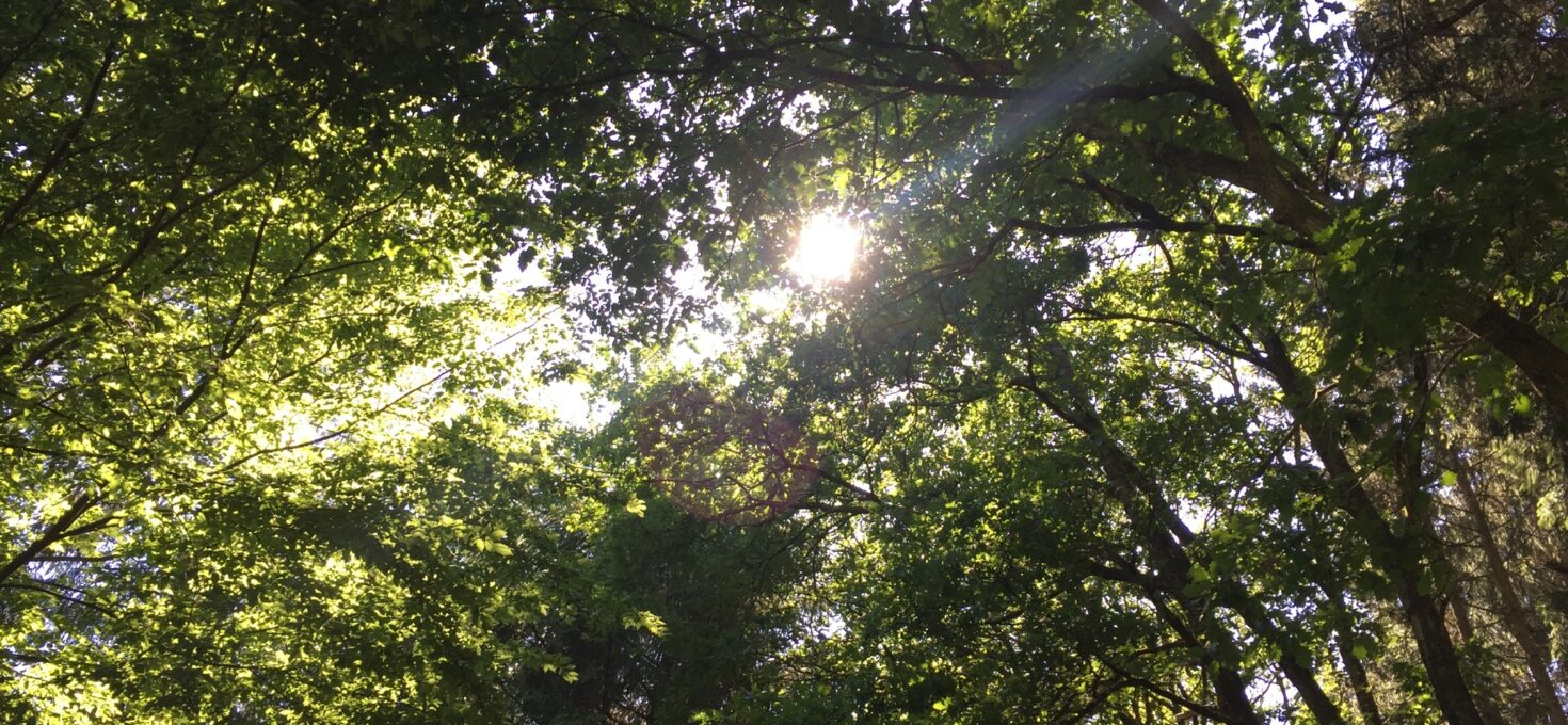 Das Leben schreibt seine eigenen Kreise