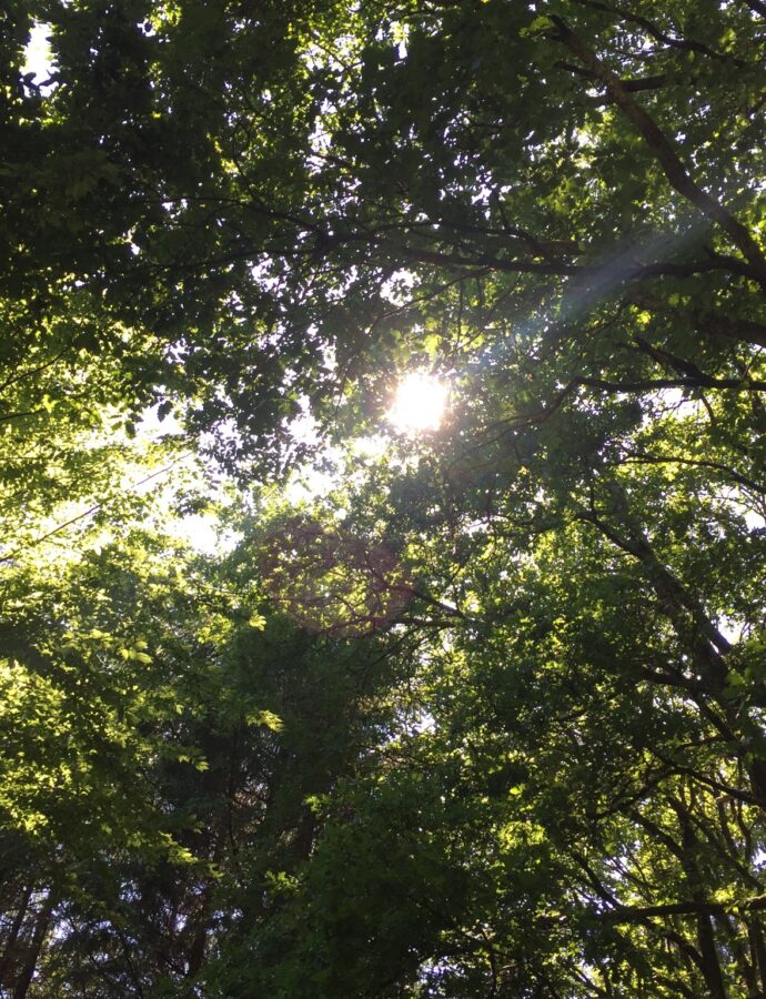 Das Leben schreibt seine eigenen Kreise