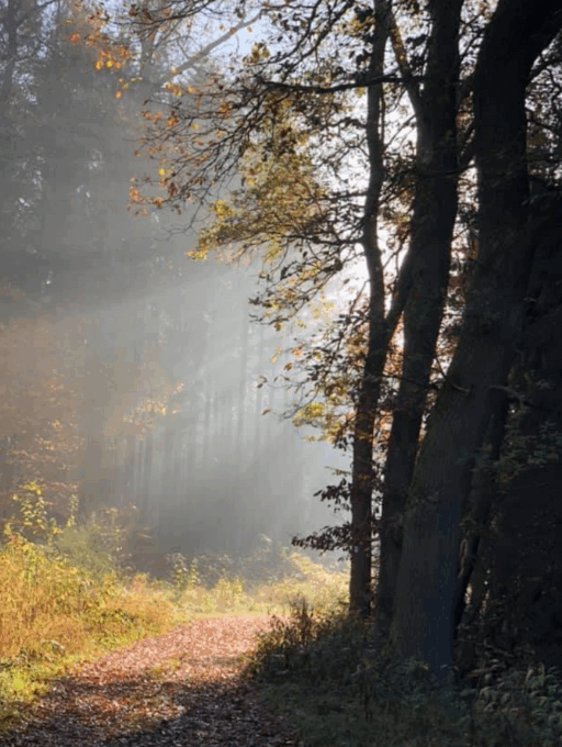 Der Weg aus dem Tal – Die ersten Schritte zurück ins Leben