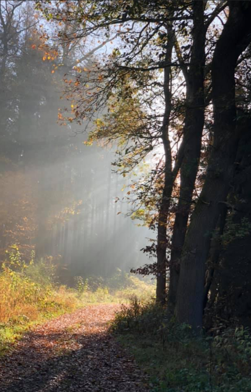 Der Weg aus dem Tal – Die ersten Schritte zurück ins Leben