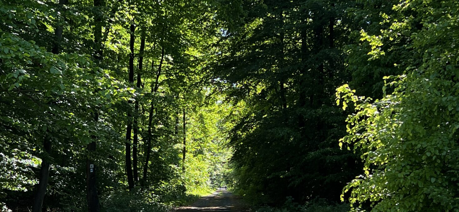 Vom Chaos zur Klarheit