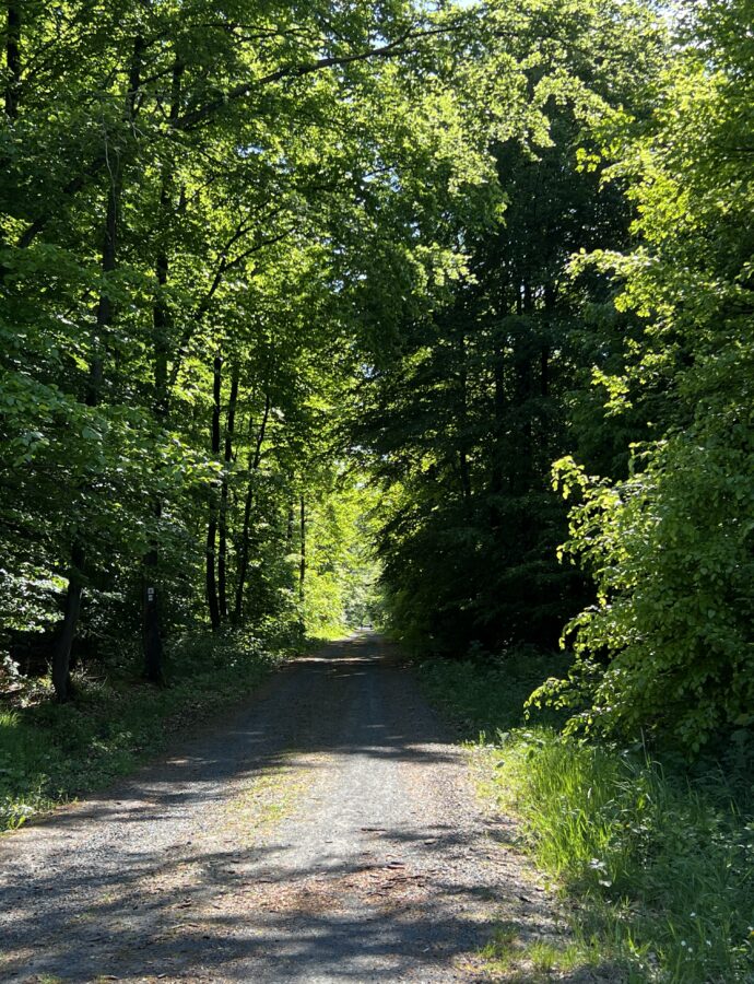 Vom Chaos zur Klarheit