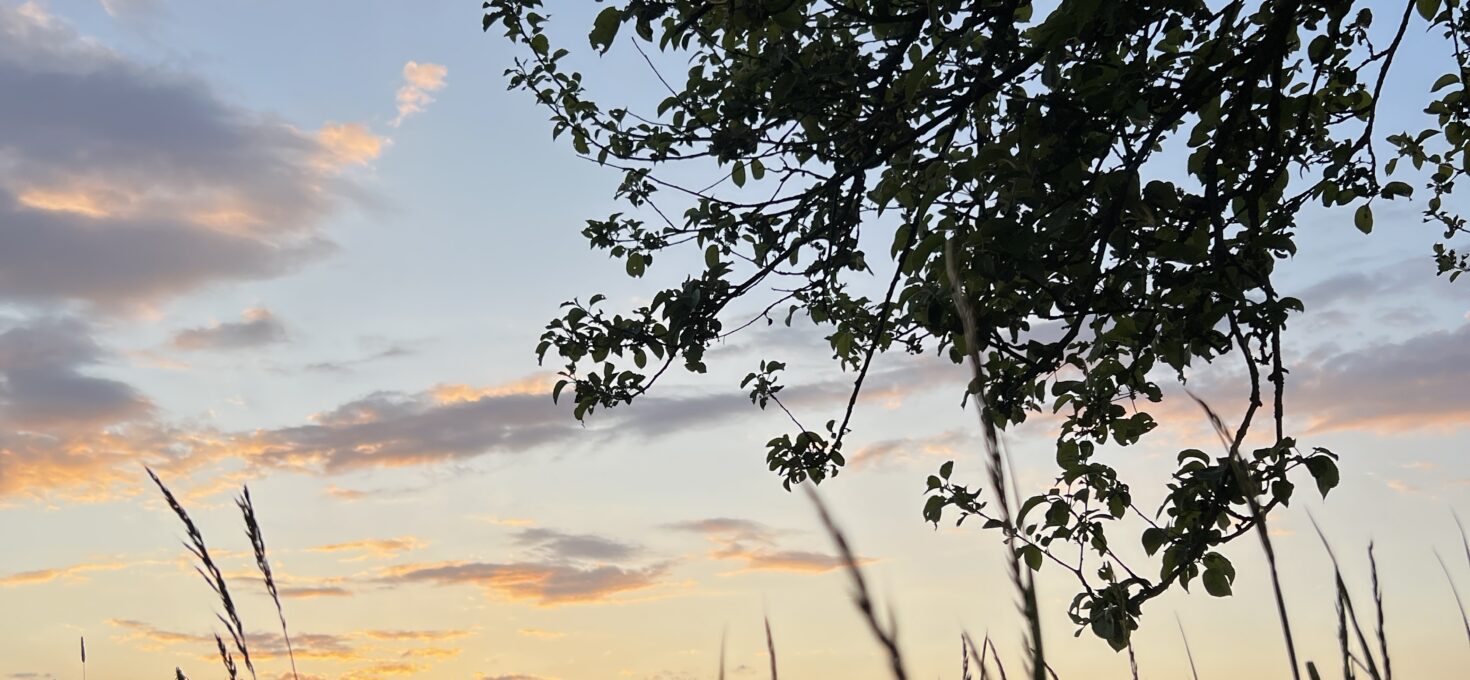 Zwischen Fülle und Sehnsucht