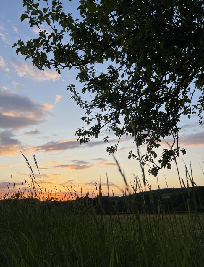 Zwischen Fülle und Sehnsucht