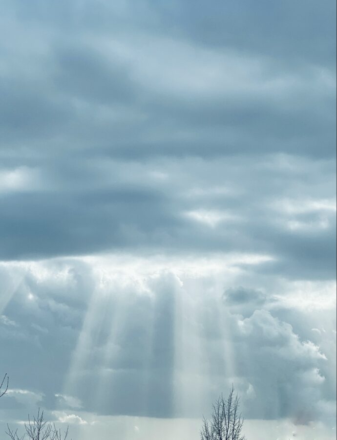 Die Angst zu scheinen ✨